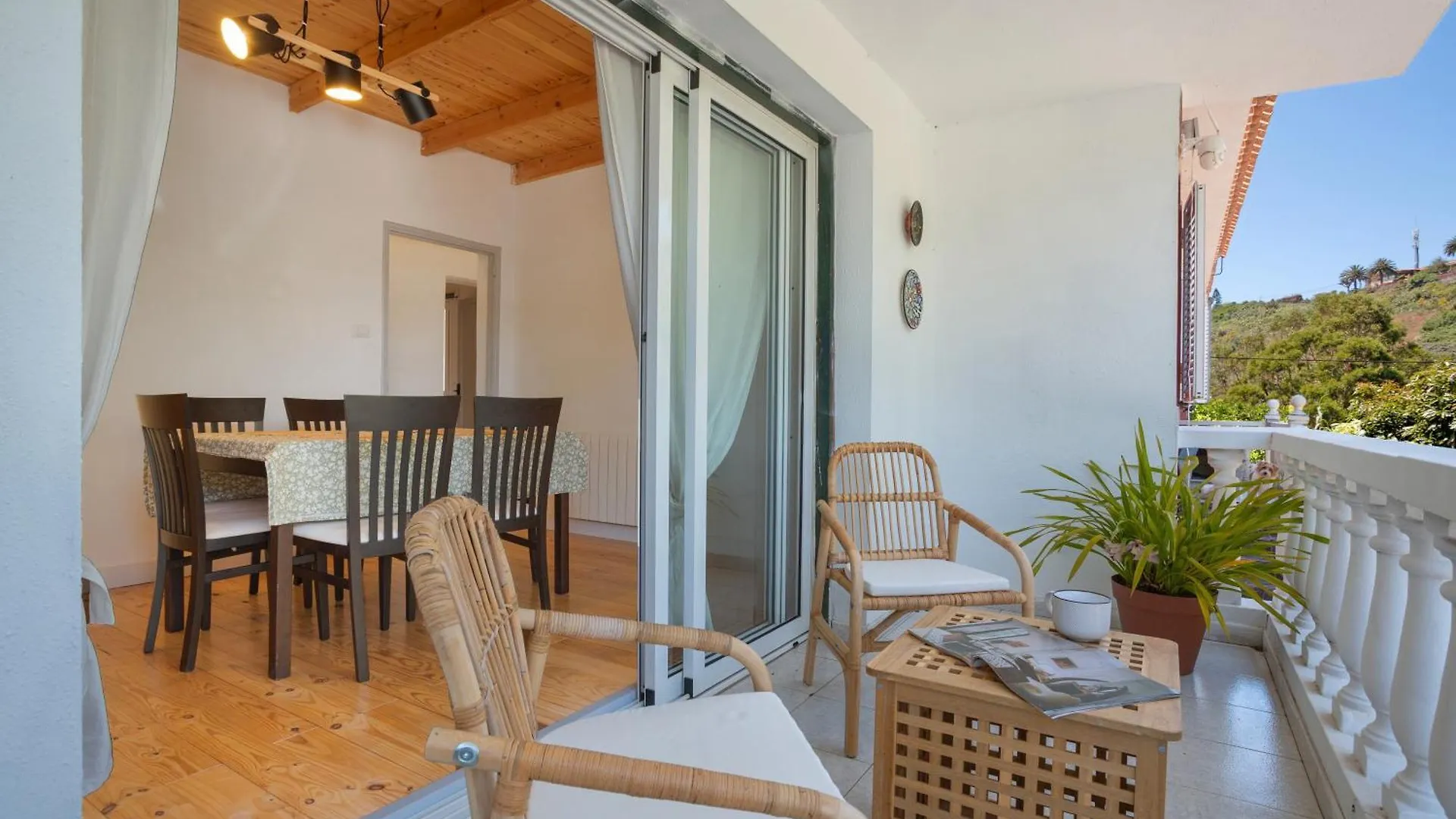 Picarus Home Tacoronte