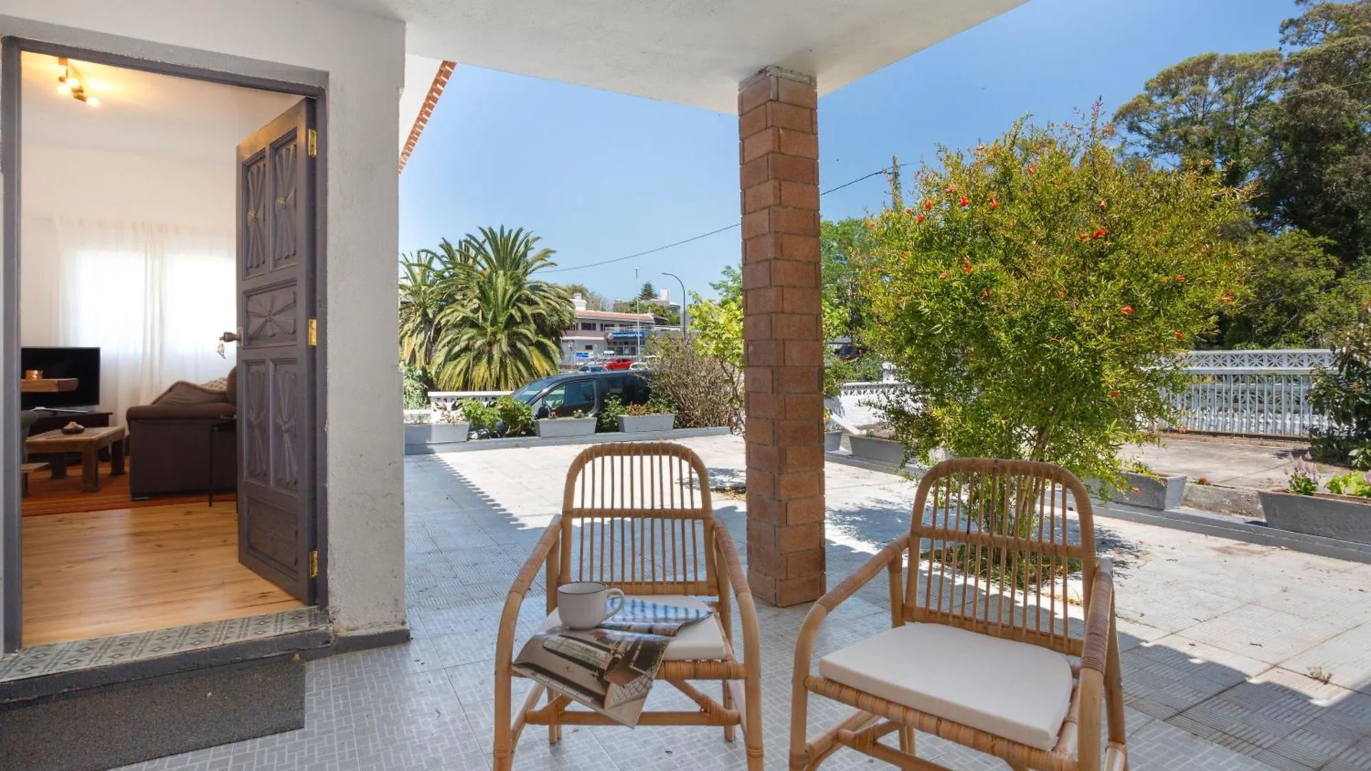 Picarus Home Tacoronte